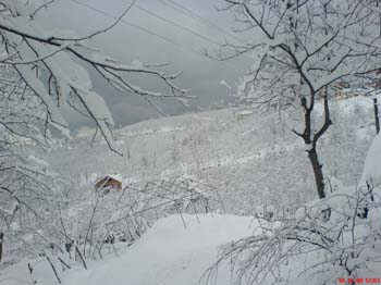 DSC01200