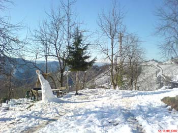 DSC01218