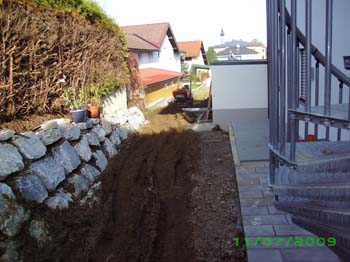 IMGP0010