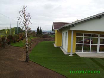 IMGP0103